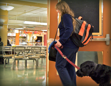 Vision impaired person with guide dog at cafeteria.