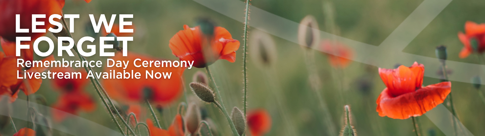 Fleming College Remembrance Day Ceremony Livestream