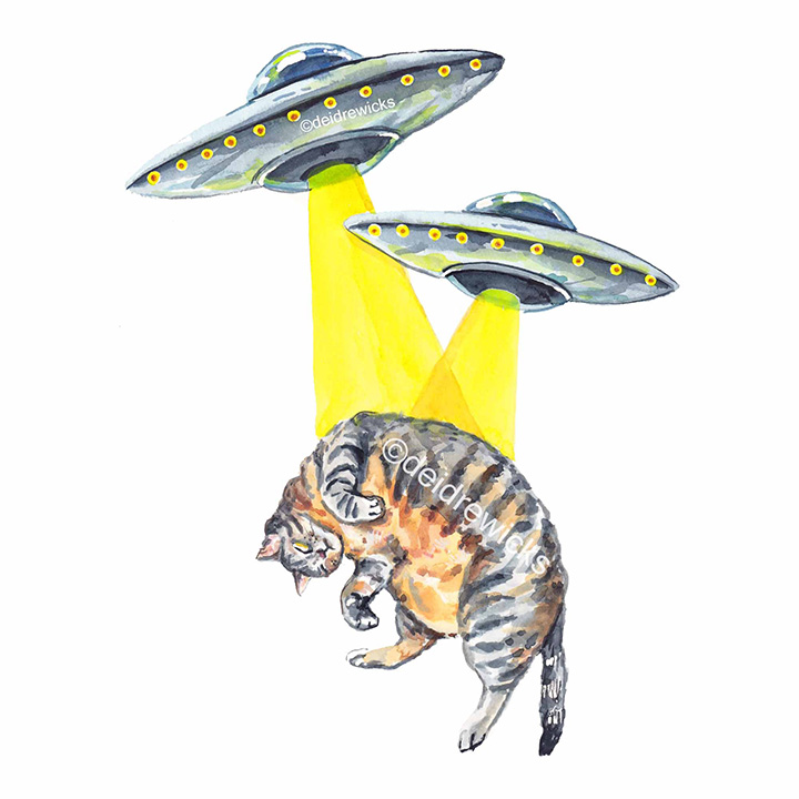A cat and UFO spaceship