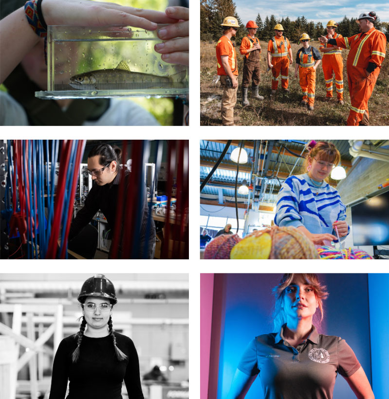 Collage of brand photography examples