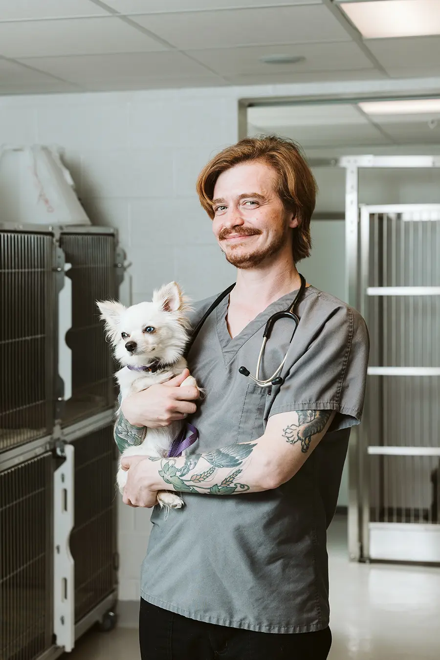 Veterinary Technician student holding a dog in a lab setting