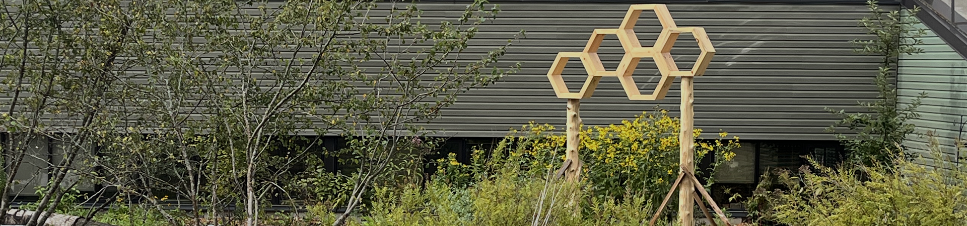 Pollinator Garden at Frost Campus