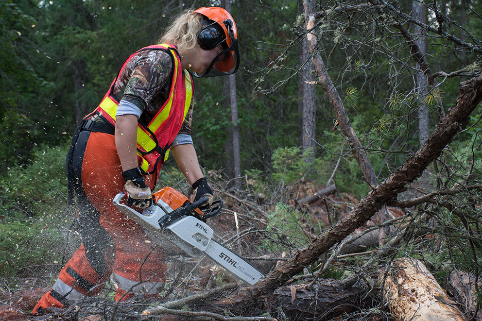 Forestry Techniques Fleming College