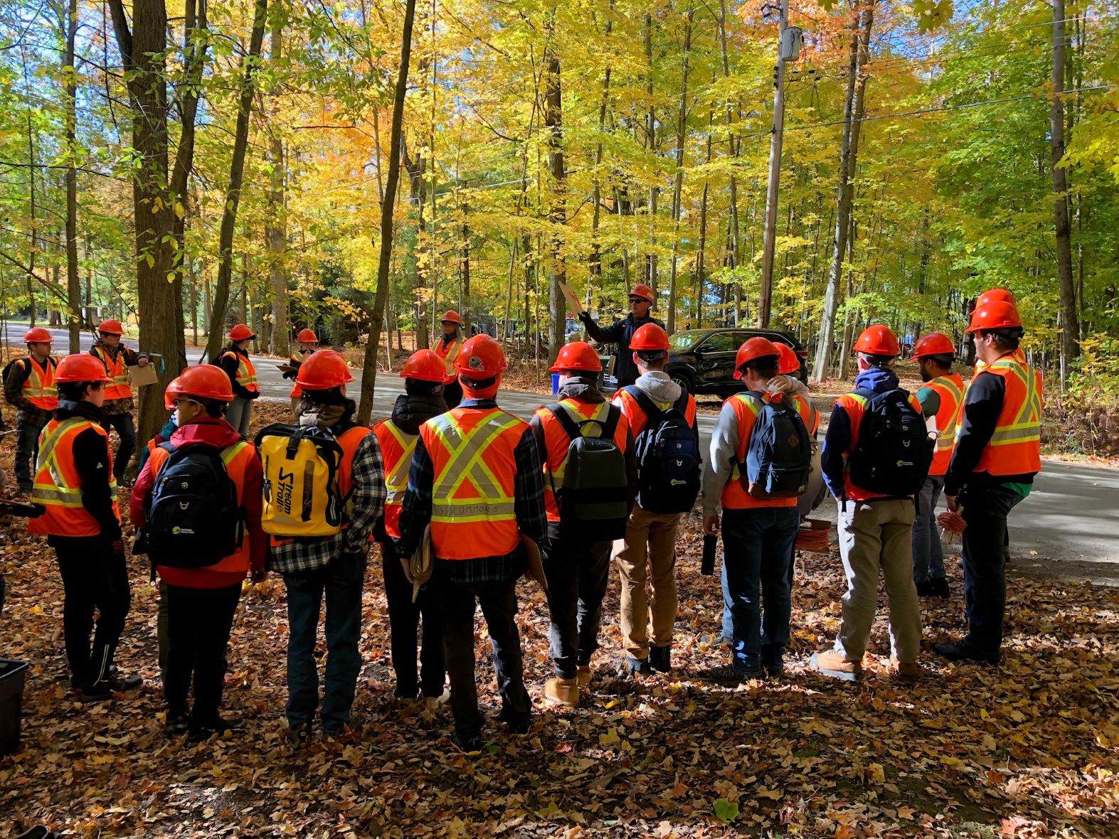 Fleming College students get ready for 24th annual Tree Climbing  Competition - Peterborough