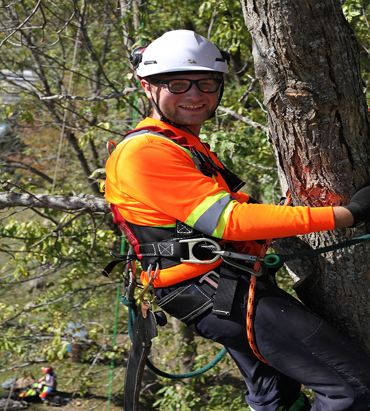 Students Going Out on a Limb for 25th annual Tree Climbing Competition :  Fleming College
