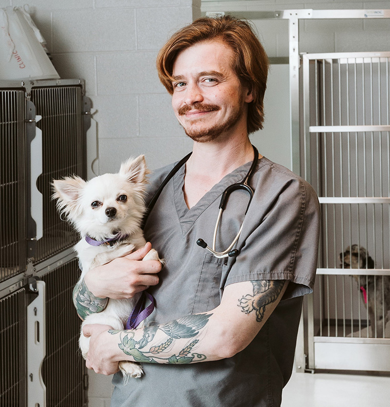 A male veterinary technician stands in a veterinary clinic with a small white dog in his arms.