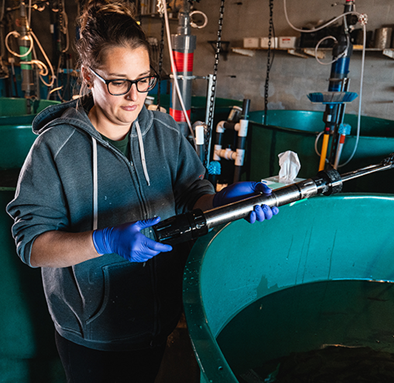 Woman standing next to a large fish tank holds equipment used in fish farming.