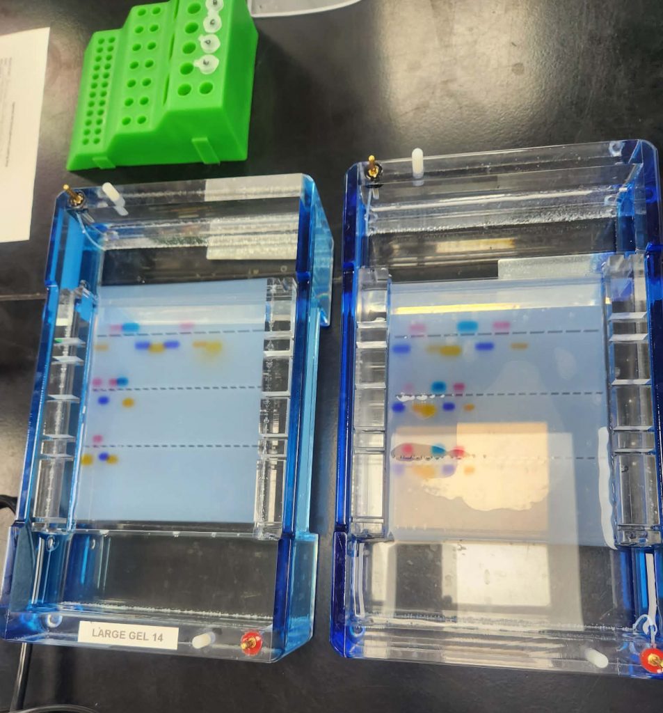 An image of DNA experiment tools.