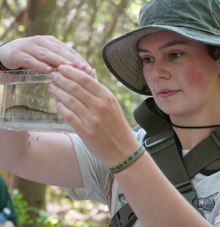 A female student looking intently at a small fish inside a container.