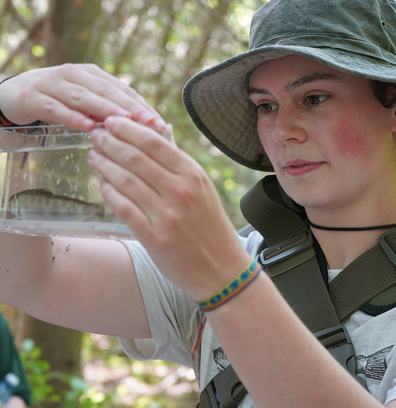 A female student looking intently at a small fish inside a container.